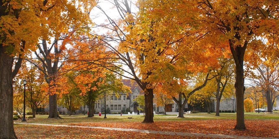 Heidelberg University - Tree Campus USA