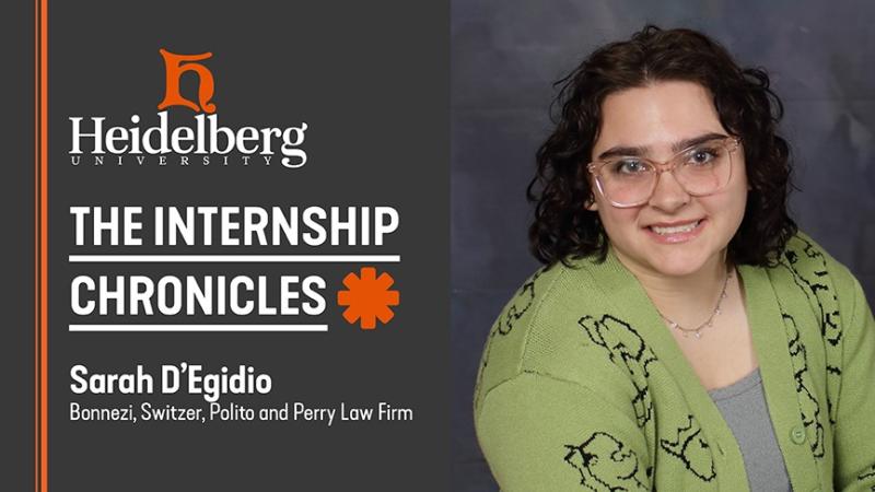 Internship Chronicles Sarah D'Egidio