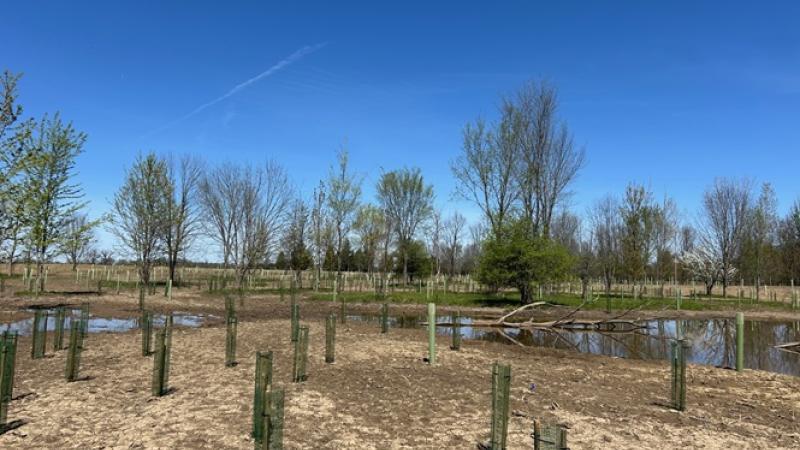 Funk Dewald wetlands NCWQR-H2Ohio