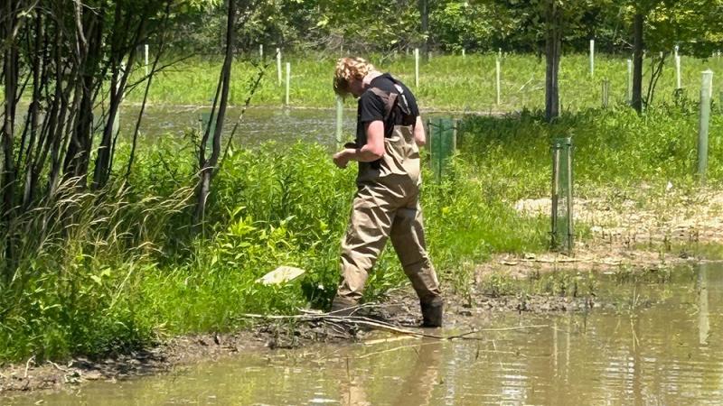 NCWQR & H2Ohio wetlands