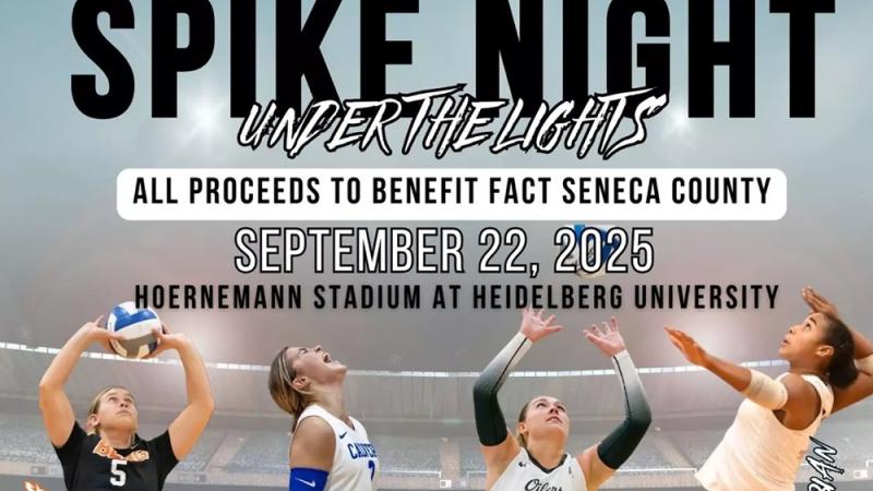 Heidelberg Volleyball Spike Night