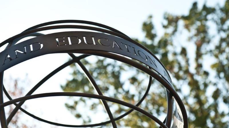 sculpture