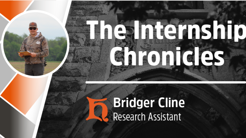 Internship Chronicles Bridger Cline